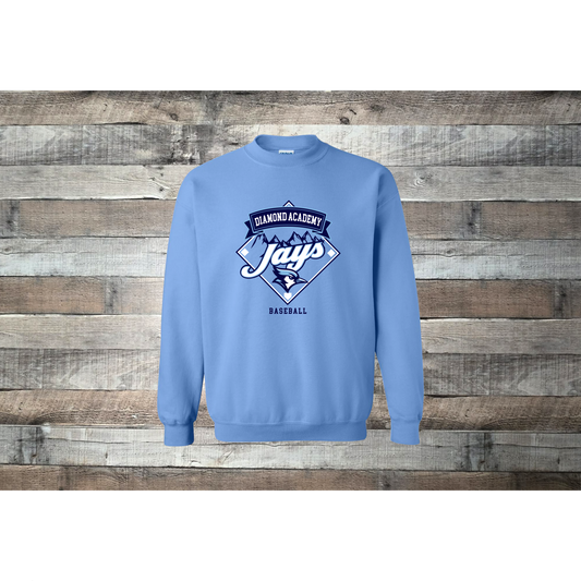 Diamond Academy Jays- Mountain- Field Diamond